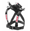 Simpson Hybrid Racing Sport With Quick Release D-Ring Anchors Tether