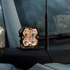 Baja Designs Squadron 2.0 Sport Clear Spot A-Pillar Light Kit w/ Toggle For 2021-2026 Ford Bronco / 2022-2024 Ford Bronco Raptor