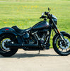 Rinehart HP40 4in Black 2 into 1 Slip-On Muffler For 2025-2026 Harley Davidson Softail M8 117