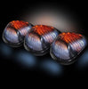 Image of Recon Smoked Cab Light Kit w/ Strobe LED's For 99-16 Super Duty