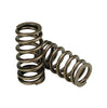 Image of Rudy's High Rev Performance Valve Springs For 11-16 6.7 Powerstroke