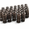 Image of Rudy's High Rev Performance Valve Springs For 03-10 6.0/6.4 Powerstroke