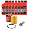 Image of Motorcraft Oil Change Kit W/ New Drain Plug For 18+ Ford F-150 3.0L Powerstroke