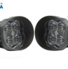 Diode Dynamics SS3 Type B White Max LED Universal Fog Light Kit W/ Backlight