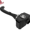 aFe Power Momentum GT Intake w/ Pro DRY S Filter For 20-24 Nissan Frontier 3.8L