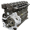Essential Reman Long Block | 2003-2007 Dodge Ram 5.9 Cummins