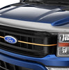 Husky Liners Aeroskin Hood Protector; Chrome 2892229