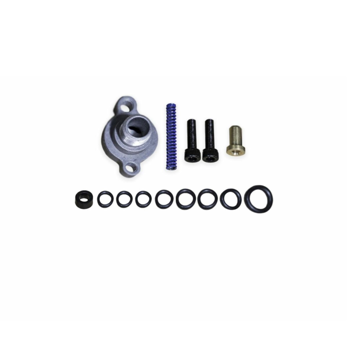 Rudy's Performance Parts - Rudy's Fuel Pressure Regulator Blue Spring Kit For 1999.5-2003 Ford Powerstroke