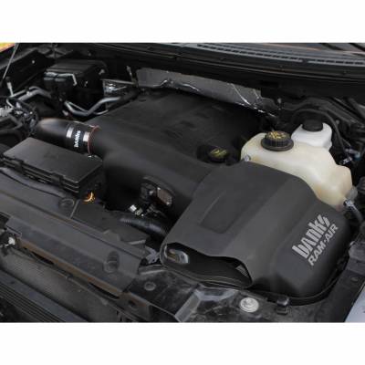 Banks Power - Banks Power Ram-Air Cold-Air Intake System Dry Filter 11-14 Ford F-150 3.5L EcoBoost - Image 5