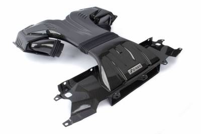 Dinan - Dinan Carbon Fiber Oiled Cold Air Intake For 2020-2022 BMW X5M/X6M 4.4L V8 - Image 1